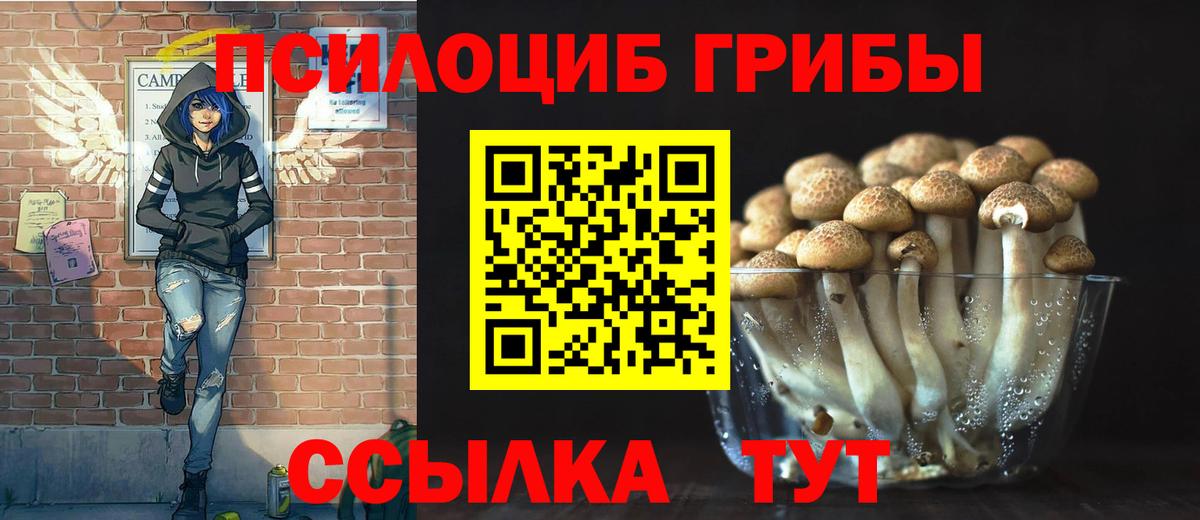 Крымск  Галлюциногенные грибы Psilocybe  Галлюциногенные грибы мицелий  Вход с VPN 
